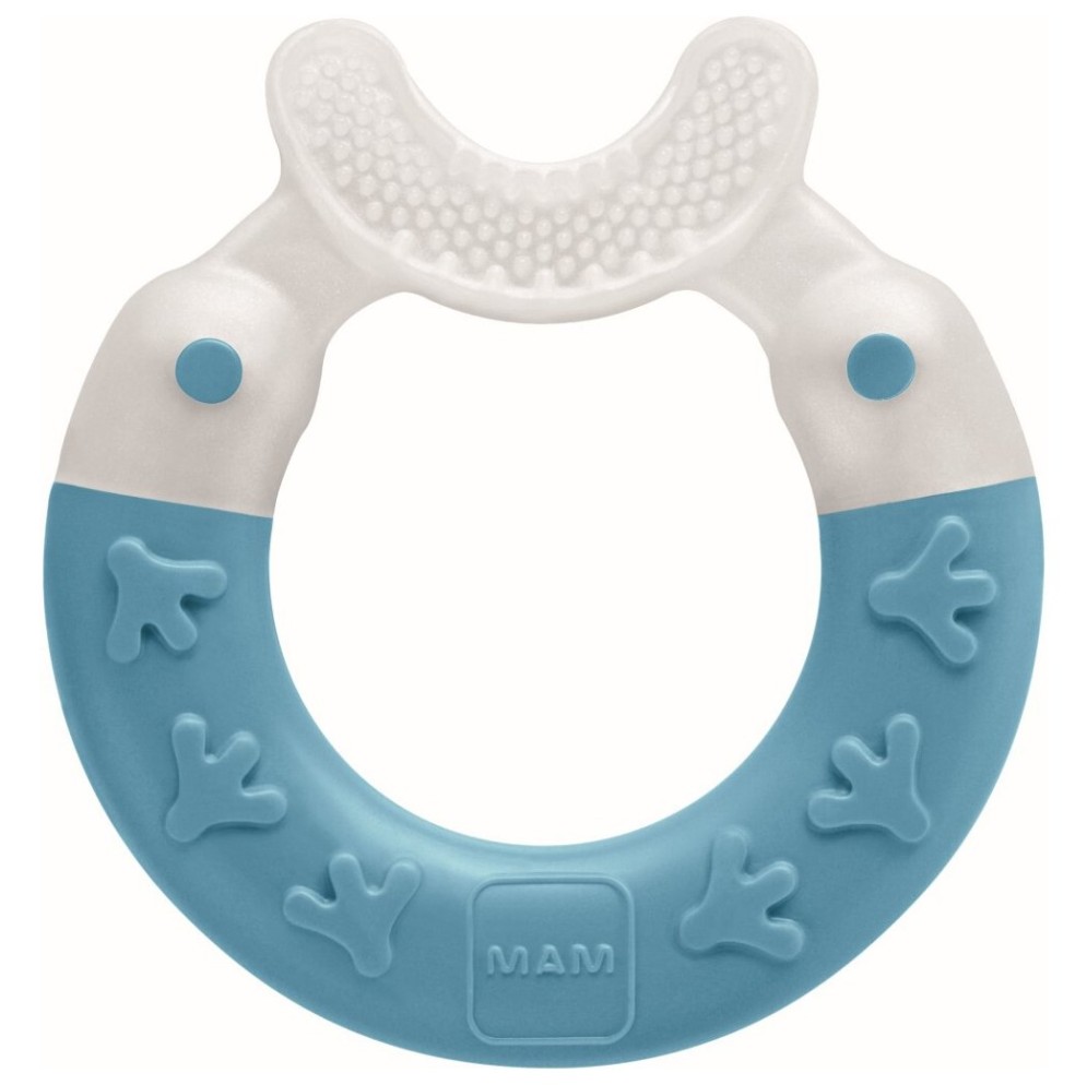 MAM grizalo s ščetko 351068 MAM grizalo s ščetko 351068