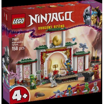 Kocke Ninjago Tempelj Ninja Spinjitzu 71831
