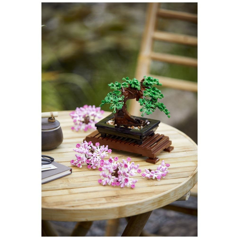 Bonsaj 10281 - Creator Bonsaj 10281 - Creator