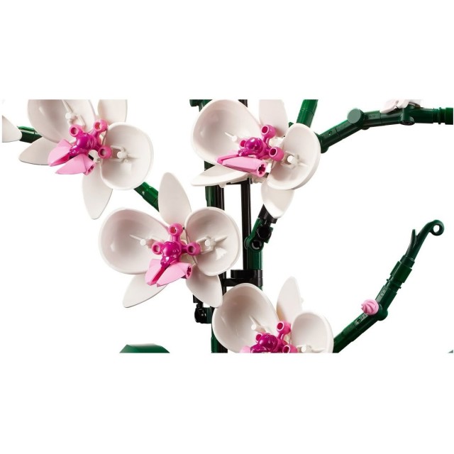 Orhideja 10311 Orhideja 10311