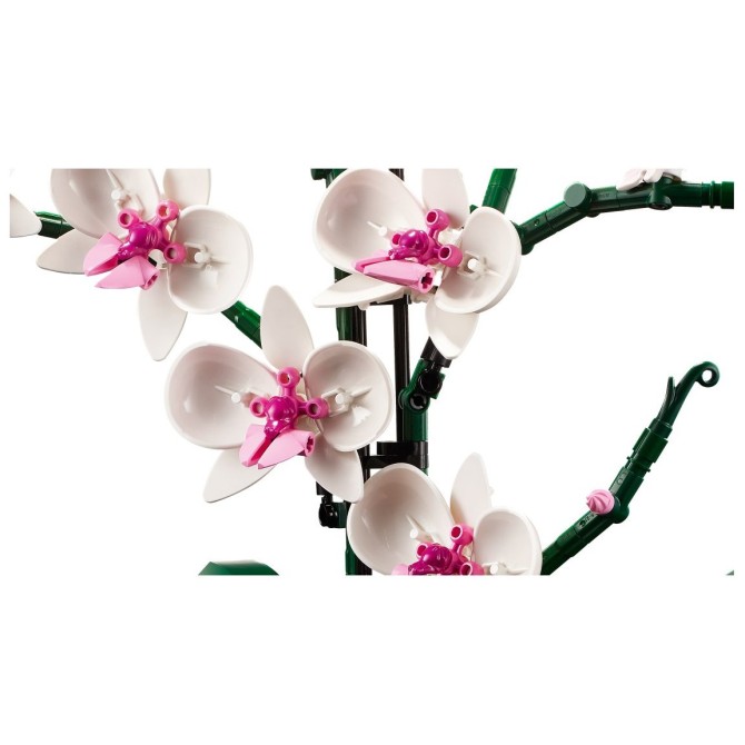 Orhideja 10311 Orhideja 10311