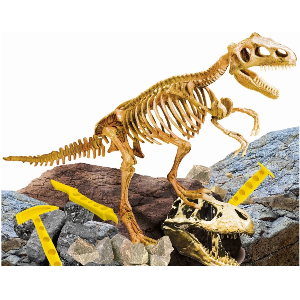 Lisciani Im Genius super kit T-Rex 81103 Lisciani Im Genius super kit T-Rex 81103