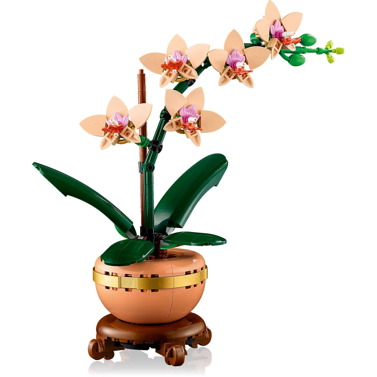 Kocke Botanicals Mini orhideja 10343