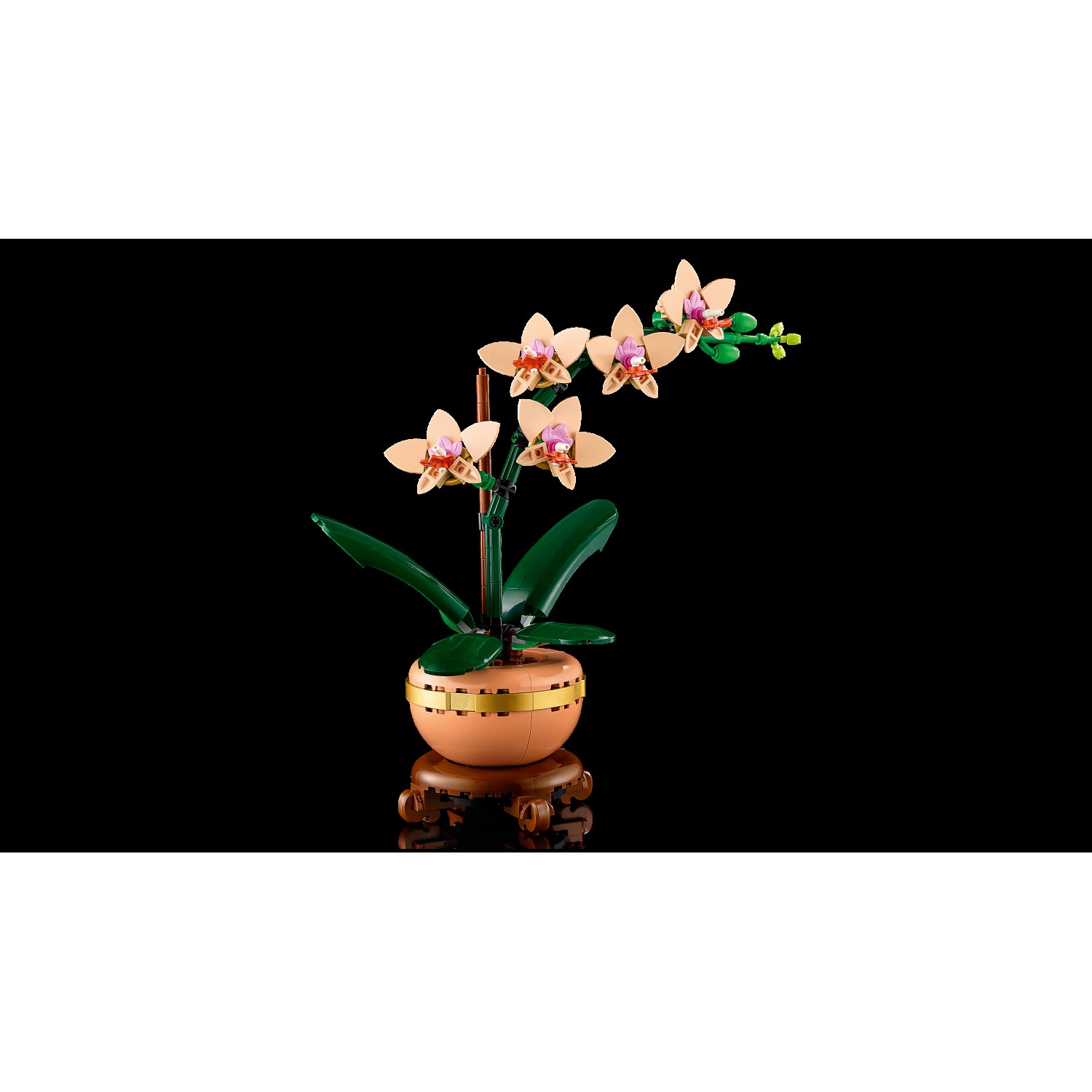 Kocke Botanicals Mini orhideja 10343 Kocke Botanicals Mini orhideja 10343