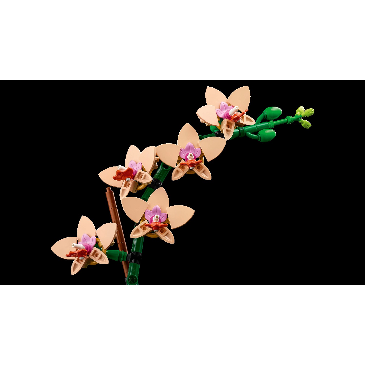 Kocke Botanicals Mini orhideja 10343 Kocke Botanicals Mini orhideja 10343
