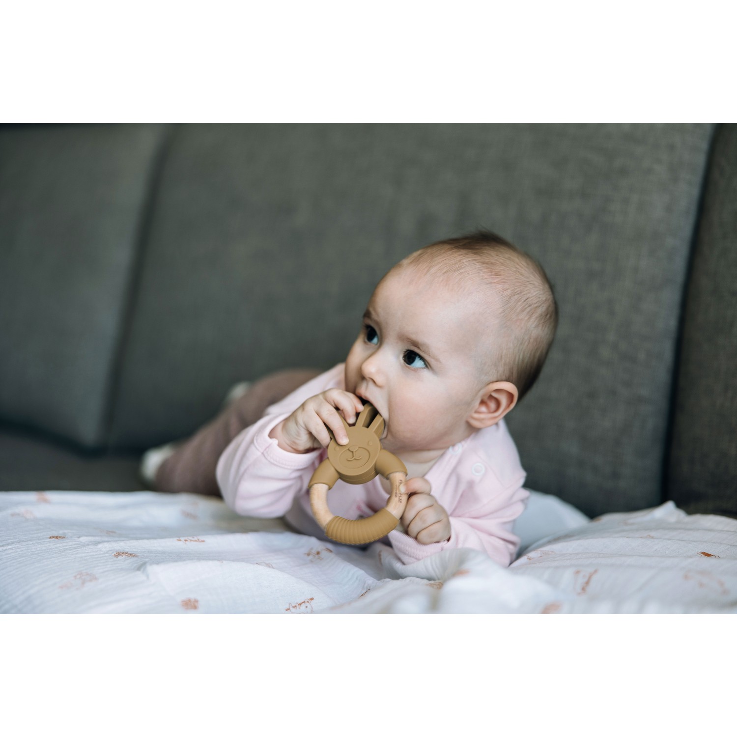 FreeON grizalo zajček brown