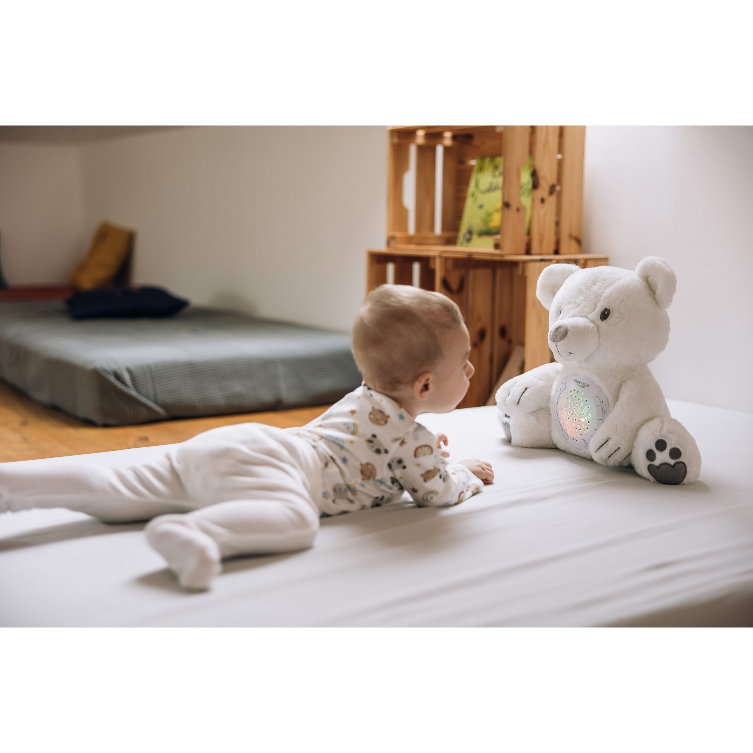 Free 2 Play Medvedek z glasbo in projekcijo