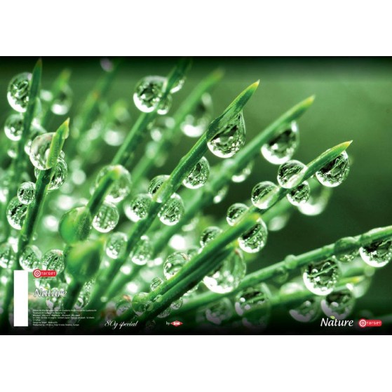 Mapa A4 z elastiko  Natural