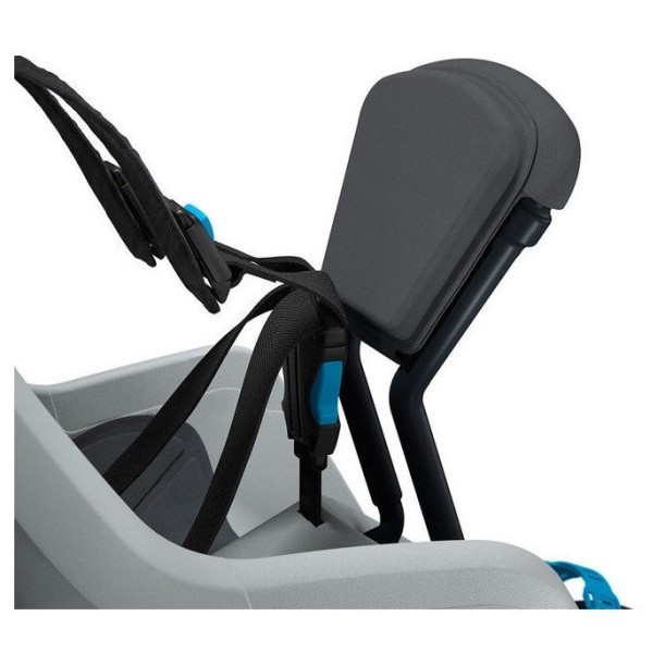 Ridealong mini blazina