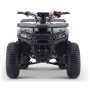 125cc bencinski štirikolesnik WARRIOR, do 60 km/h, zelen