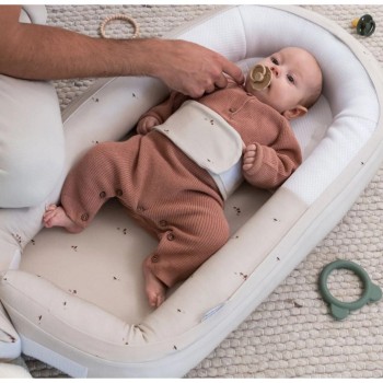 Gnezdece COCOON Mushrooms Gnezdece COCOON Mushrooms