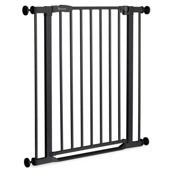 Varovalna ograja CLEAR STEP 2 Black