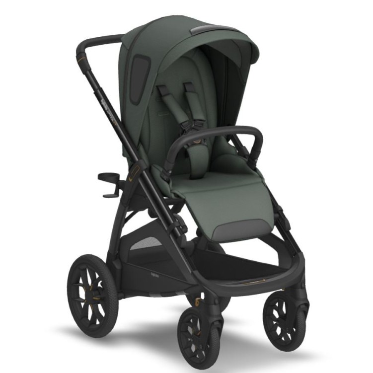 Otroški voziček 2v1 Duo APTICA XT Taiga Green