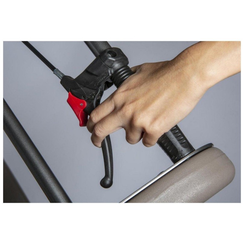 Otrošk ivoziček za več otrok ItalTrike Espresso SPINTA