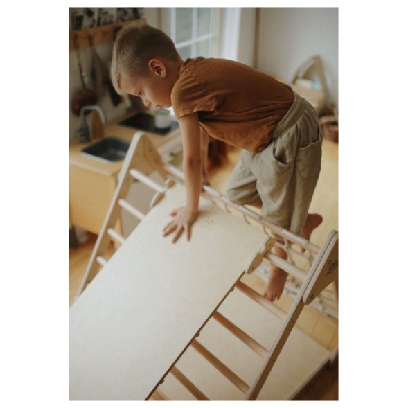 Piklerjevjeva lestev in tobogan