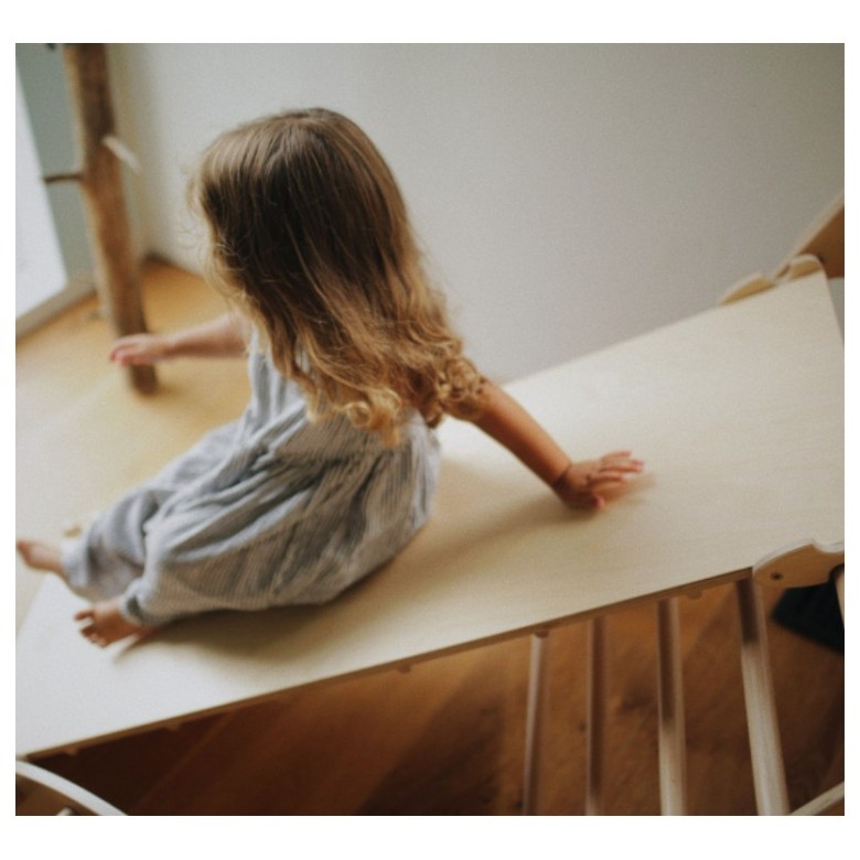 Piklerjevjeva lestev in tobogan