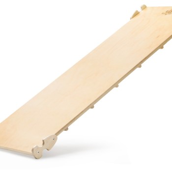 Piklerjevjeva lestev in tobogan