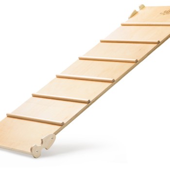 Piklerjevjeva lestev in tobogan