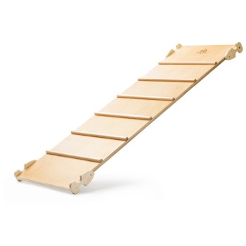 Piklerjevjeva lestev in tobogan