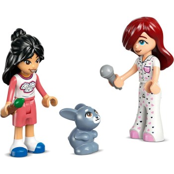 Lego® Friends 42647 Paisleyjina soba