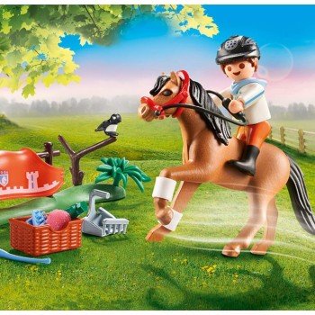 Connemara Poni 70516  - Country