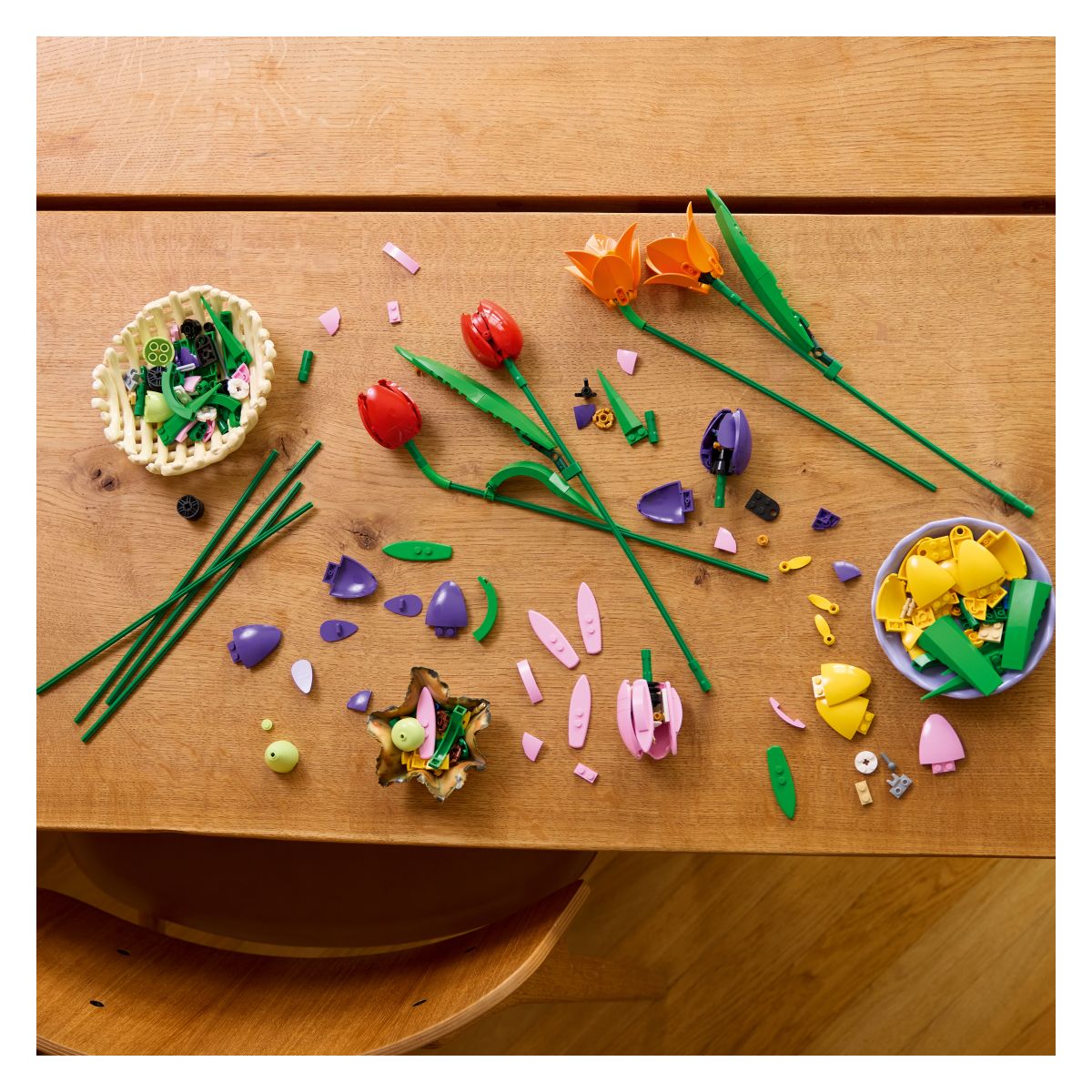 Kocke Botanicals Šopek tulipanov 11501