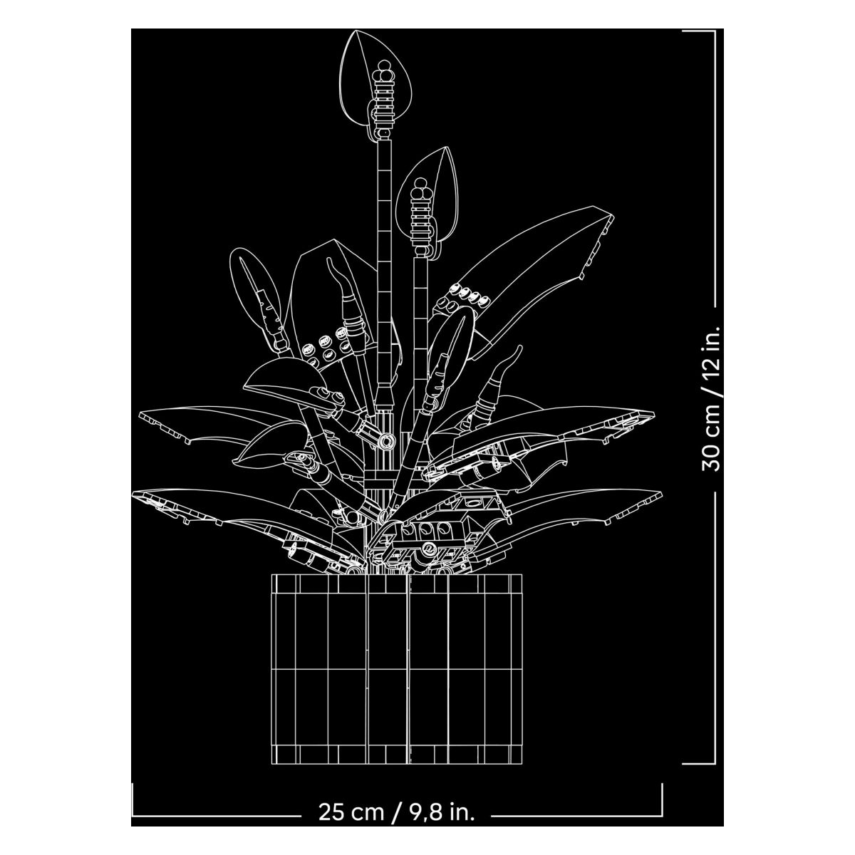 Kocke Botanicals Mirna lilija 11504