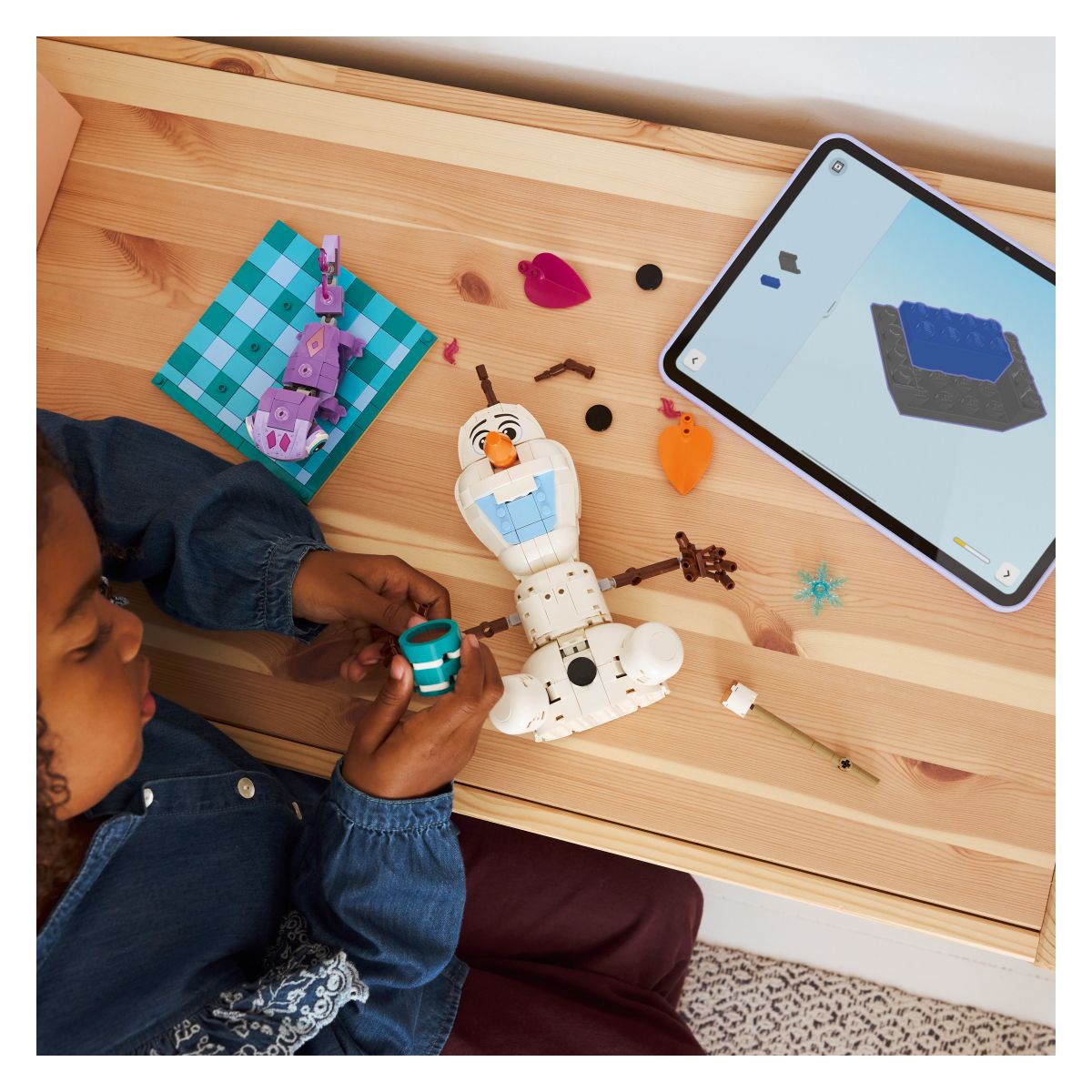 Kocke Disney Princess Olaf in Bruni se zabavata na pikniku 43287