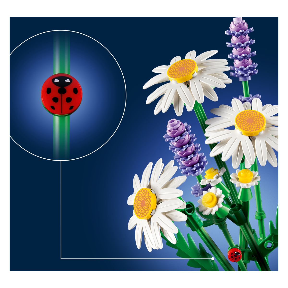 Kocke Botanicals Ivančice 11508