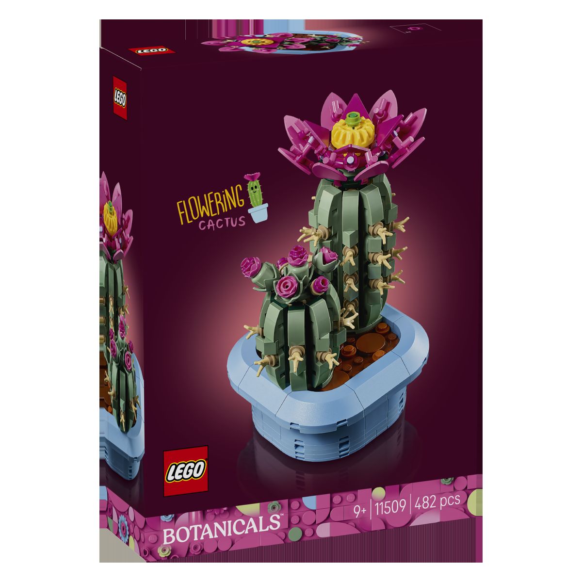 Kocke Icons Cvetoči kaktus 11509