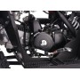 Benzinski quad 125cc PREDATOR Green