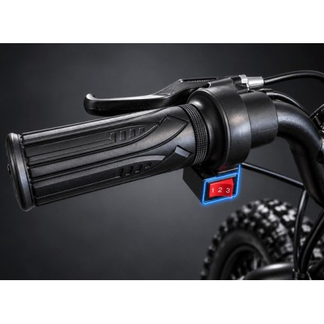 Električna guralica za djecu 100 W RIRIBIKE RTX3 S Green