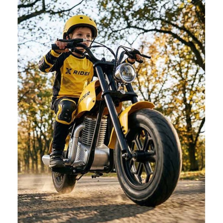 36V otroški električni motor XRIDER CRUISER PRO 200W 12 col 36V otroški električni motor XRIDER CRUISER PRO 200W 12 col