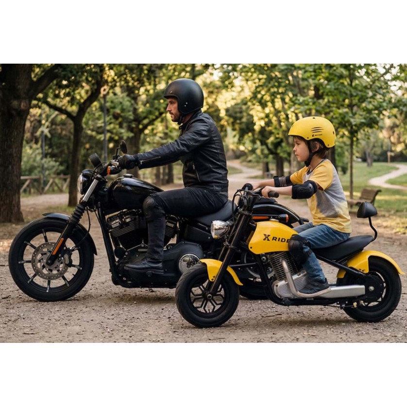 36V otroški električni motor XRIDER CRUISER PRO 200W 12 col 36V otroški električni motor XRIDER CRUISER PRO 200W 12 col