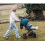 MoMi ESTELLE GOLD otroški voziček, zeleno-zlat