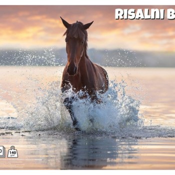 Blok za crtanje ANIMAL 11525