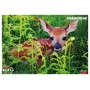 Blok za crtanje ANIMAL 11525 Blok za crtanje ANIMAL 11525