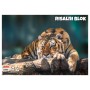 Blok za crtanje ANIMAL 11525 Blok za crtanje ANIMAL 11525