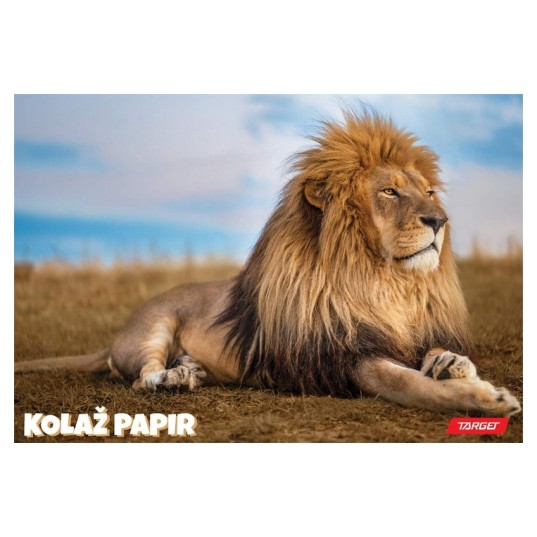 Kolaž papir ANIMAL 11367