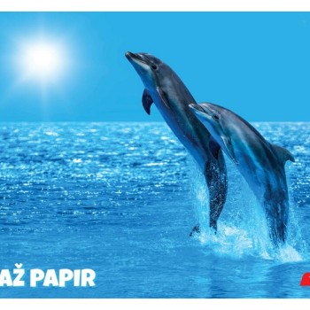 Kolaž papir ANIMAL 11367