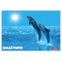 Kolaž papir ANIMAL 11367