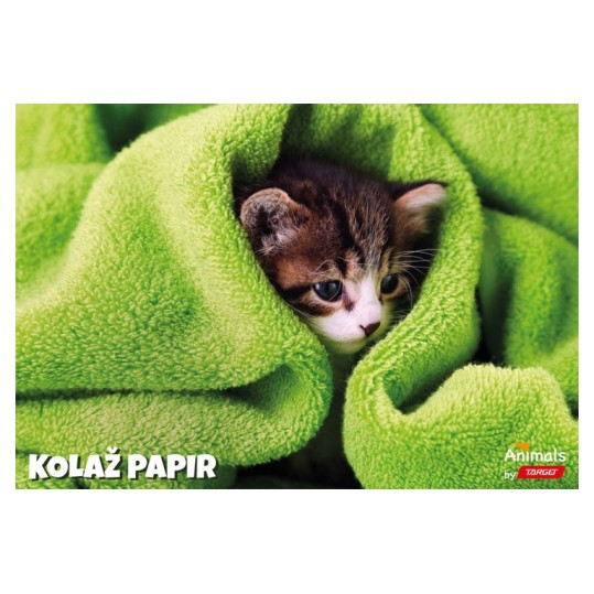 Kolaž papir ANIMAL 11367