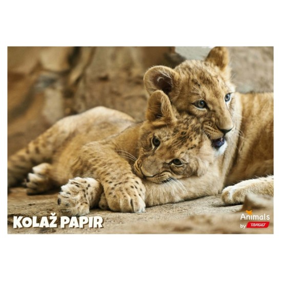 Kolaž papir ANIMAL 11367