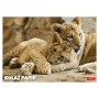 Kolaž papir ANIMAL 11367