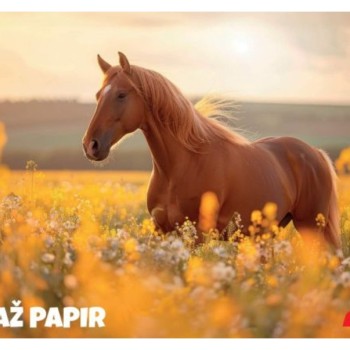 Kolaž papir ANIMAL 11367