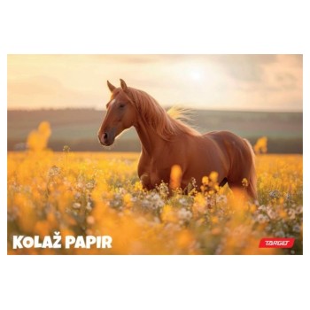 Kolaž papir ANIMAL 11367