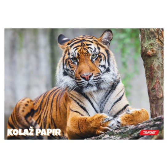 Kolaž papir ANIMAL 11367