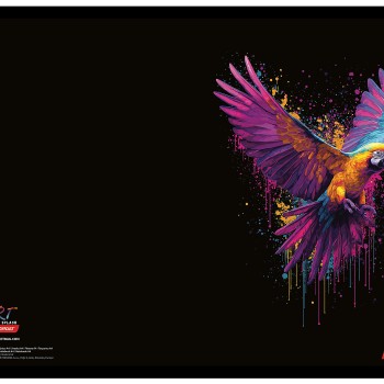 Zvezek A4 karo ART SPLASH 10 kos