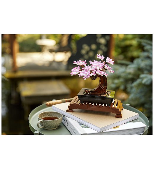 Bonsai drvo 10281 - Creator