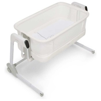 Zibelka in posteljica ICRIB